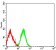 CD42B Primary Antibody  MP31457 [M6H6H10]