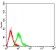 CD57 Primary Antibody MP31494 [M3F6D6]