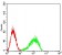 CD354 Primary Antibody  MP31536 [M5F9F7]