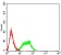 CD336 Primary Antibody MP31552 [M7A7D4G11]