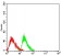 ATXN1 Primary Antibody   MP31607 [M2B8A2]