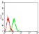 CD361 Primary Antibody  MP31658  [M8F3D1]