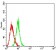 CD30 Primary Antibody  MP31659 [M4D1C2]