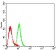KDR Primary Antibody  MP31661 [M1A9A3]