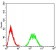 CD130 Primary Antibody MP31685  [M8D4D2]