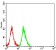 PRKN Primary Antibody MP31715  [M6F5D2]