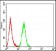 XIAP Primary Antibody MP31695  [M4C12G10]
