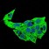 SDC1 Primary Antibody MP30602 [M1A3H4]