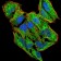 LHCGR Primary Antibody MP30751 [M8G9A2]