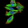 GNAS Primary Antibody MP30780 [M7G6G5]