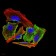 TTR Primary Antibody MP30784 [M2E10C5]