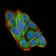 WTAP Primary Antibody MP30788 [M6B6B6]