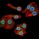 LMNB2 Primary Antibody MP31003 [M2E2F4]