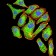 PYCARD Primary Antibody MP31009 [M1C3D7]