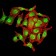 KDM1A Primary Antibody MP31023 [M5B2D5]