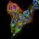 TTF1 Primary Antibody MP31032 [M2F4D8]