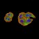 PTPN14 Primary Antibody MP31048 [M2B3H7]