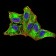 DDX58 Primary Antibody MP31069 [M4G1B6]