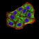 BNIP3 Primary Antibody MP31073 [M4E11F4]