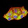 PCK2 Primary Antibody MP31650  [M3D3D9]