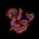 CD130 Primary Antibody MP31685  [M8D4D2]