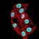 NAGR1 Primary Antibody MP31714  [M7E2D6]